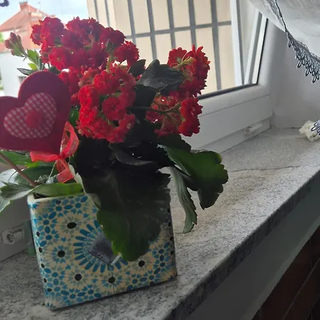 Apartamento Radiowa Mini *